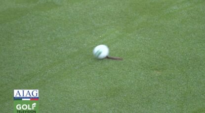 Regole del Golf "palla che tocca un animale in green"